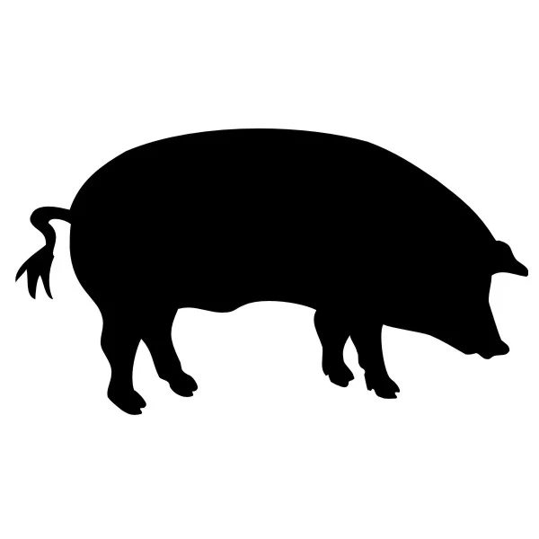 Product image 116